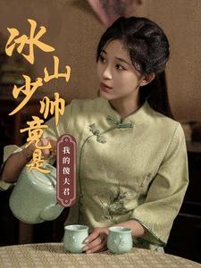 冰山少帅竟是我的傻夫...