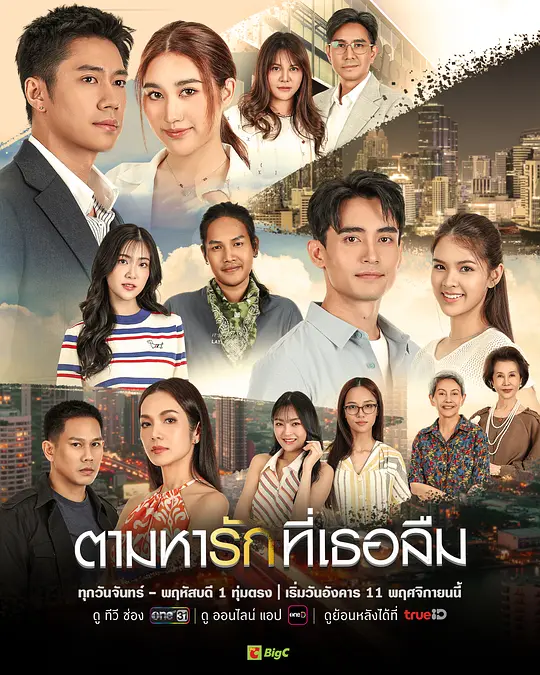 找寻遗忘的爱封面图