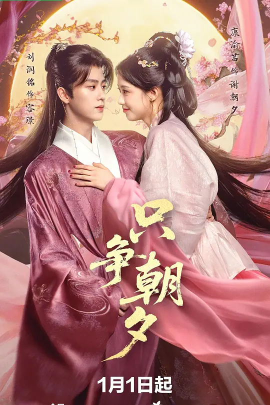 只争朝夕封面图