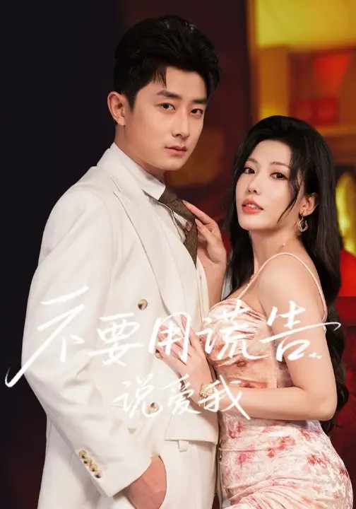 不要用谎言说爱我封面图