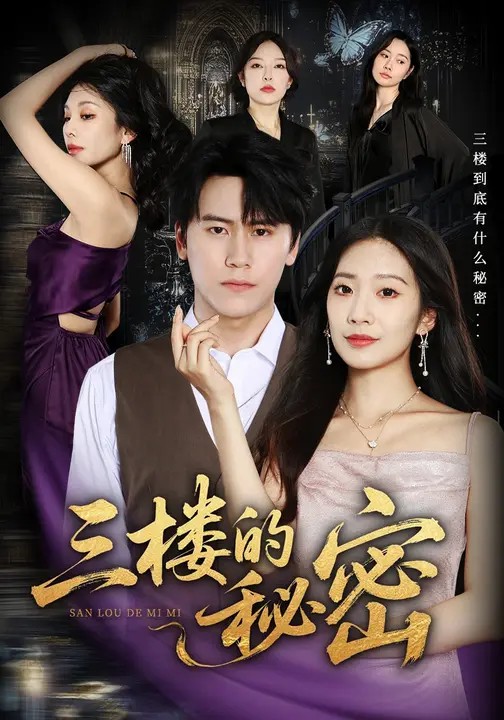 三楼的秘密封面图