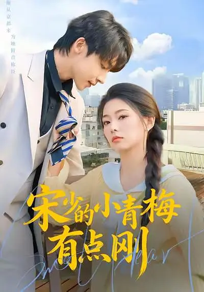 宋少的小青梅有点刚封面图