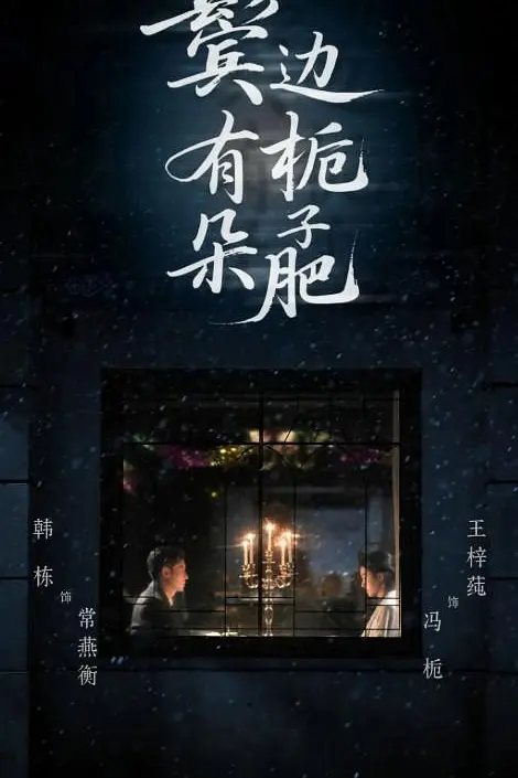 鬓边有朵栀子肥封面图