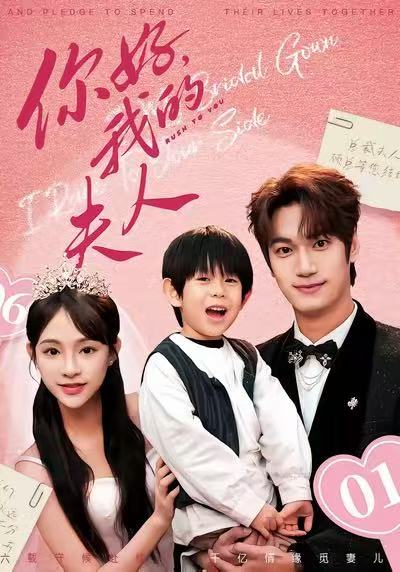 顾总我才是你的夫人封面图