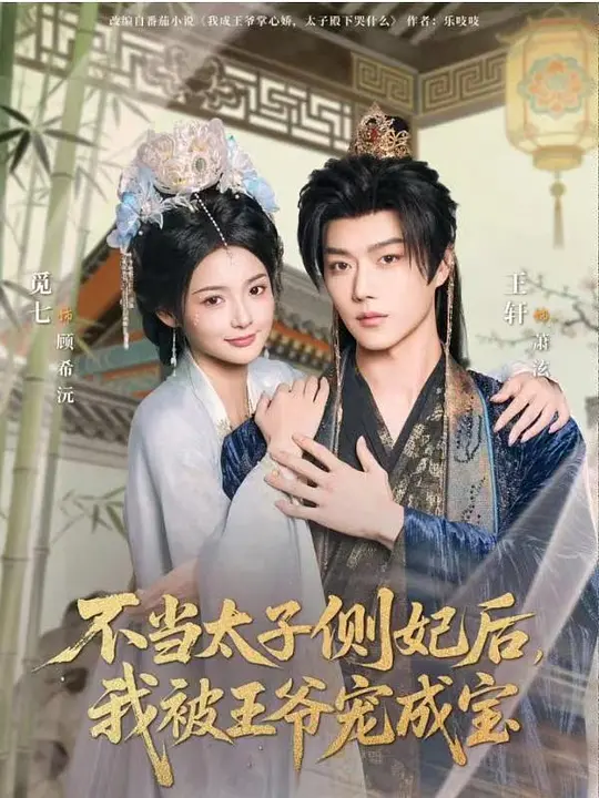 不当太子侧妃后，我被王爷宠成宝