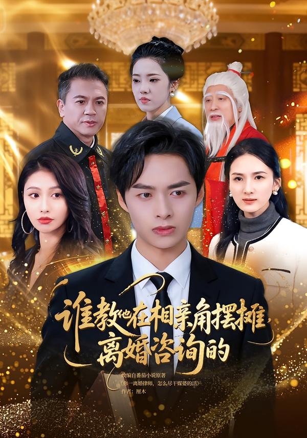 谁教他在相亲角摆摊离婚咨询封面图