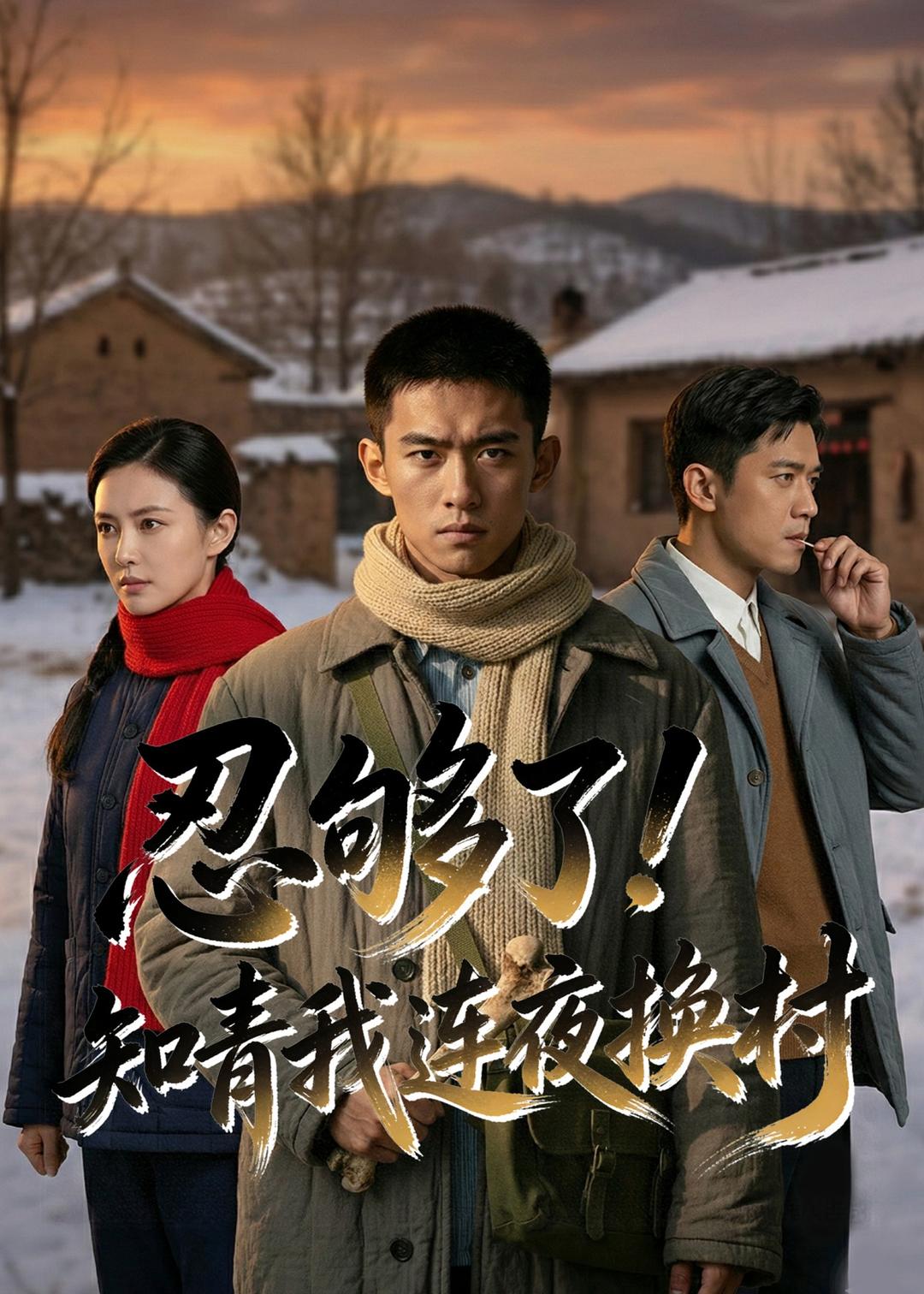 忍够了知青我连夜换村封面图