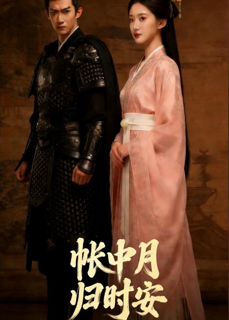 帐中月归时安封面图
