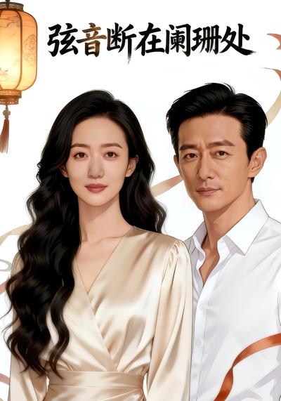 弦音断在阑珊处封面图