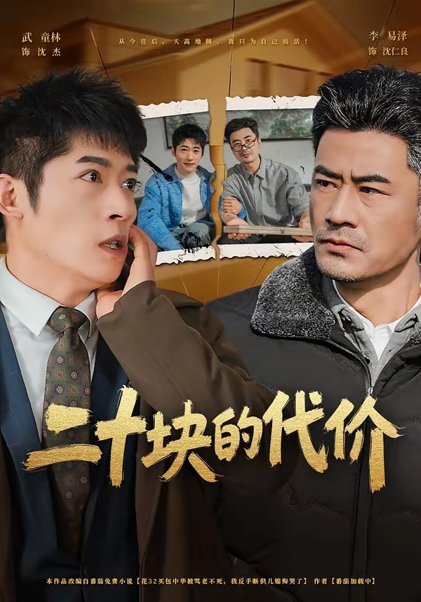 二十块的代价