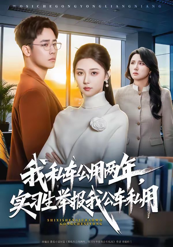 我私车公用两年,实习生举报我公车私用