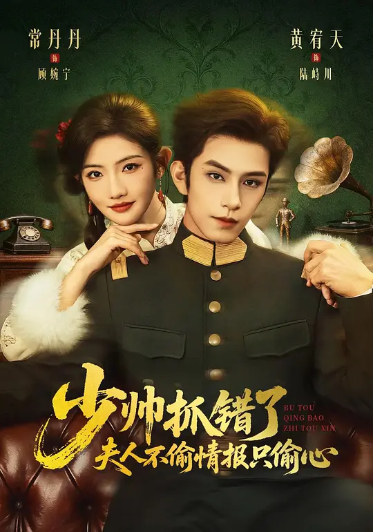 少帅抓错了,夫人不偷情报只偷心