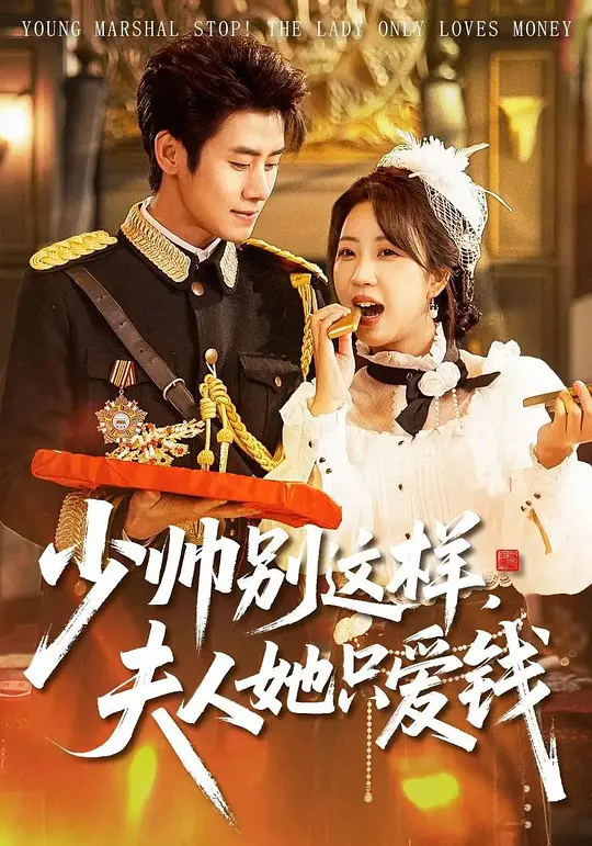 少帅别这样,夫人她只爱钱