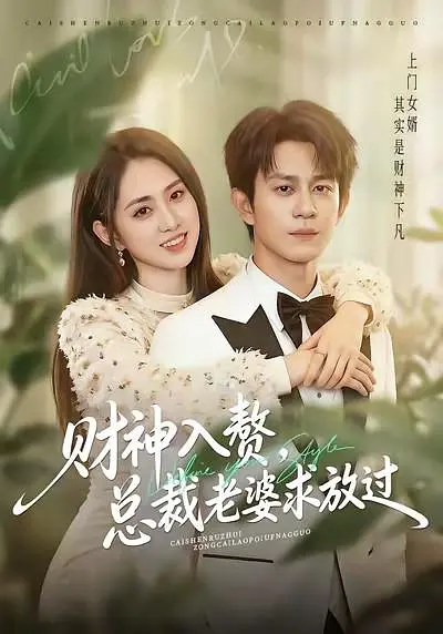 财神入赘，总裁老婆求放过