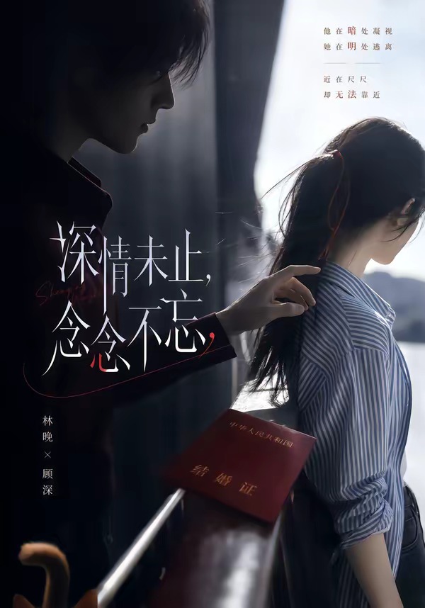 深情未止念念不忘封面图