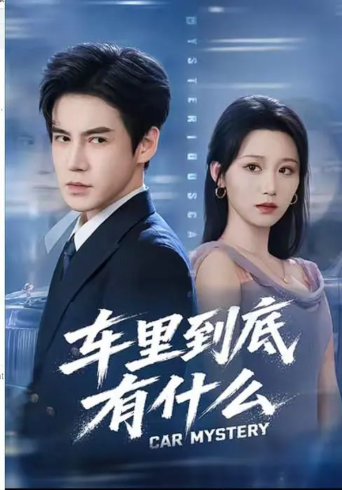 车里到底有什么