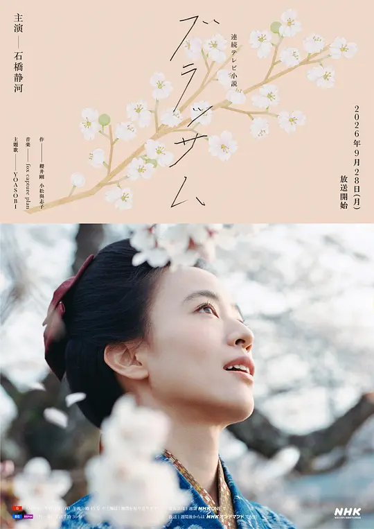花朵盛开